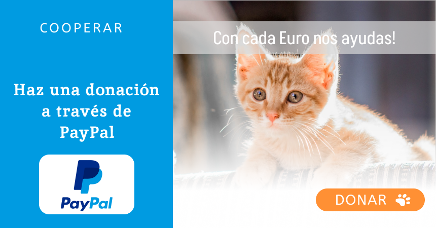 Haz una doncacion en PayPal